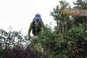 BIB: 
                            <button type="button" onclick="openModal(24740057)" class="btn btn-primary btn-sm float-right btn-popup" data-toggle="modal" data-target=".modal-high-quality">
                        <i class="fas fa-shopping-cart"></i> Add to Cart
                    </button>
                                            <button type="button" onclick="isThisMe(24740057, true)" class="btn btn-success btn-sm float-right btn-popup btn-isme hidden" data-toggle="tooltip" data-placement="bottom" title="นี่คือรูปของคุณใช่ไหม คลิกที่นี่เพื่อเอาเข้าอัลบั้ม">
                        <i class="fas fa-plus"></i> Add to album
                    </button>
                    <button type="button" onclick="isThisMe(24740057, false)" class="btn btn-warning btn-sm float-right btn-popup btn-isnotme hidden">
                        <i class="fas fa-ban"></i> Remove from album
                    </button>